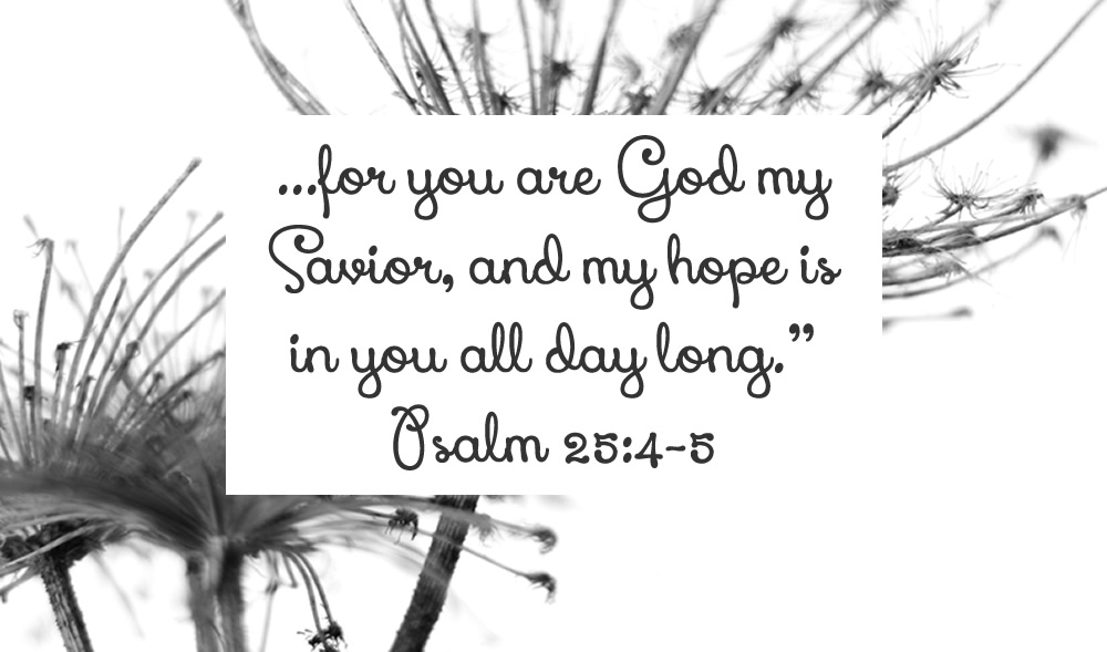 You Are My Savior