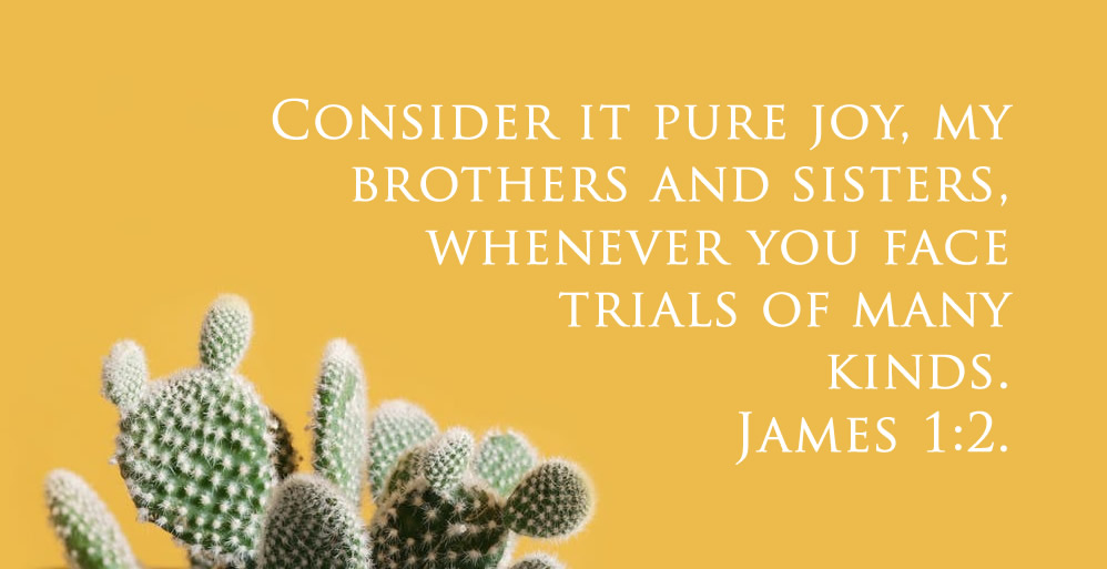 Finding Joy in Difficulties?