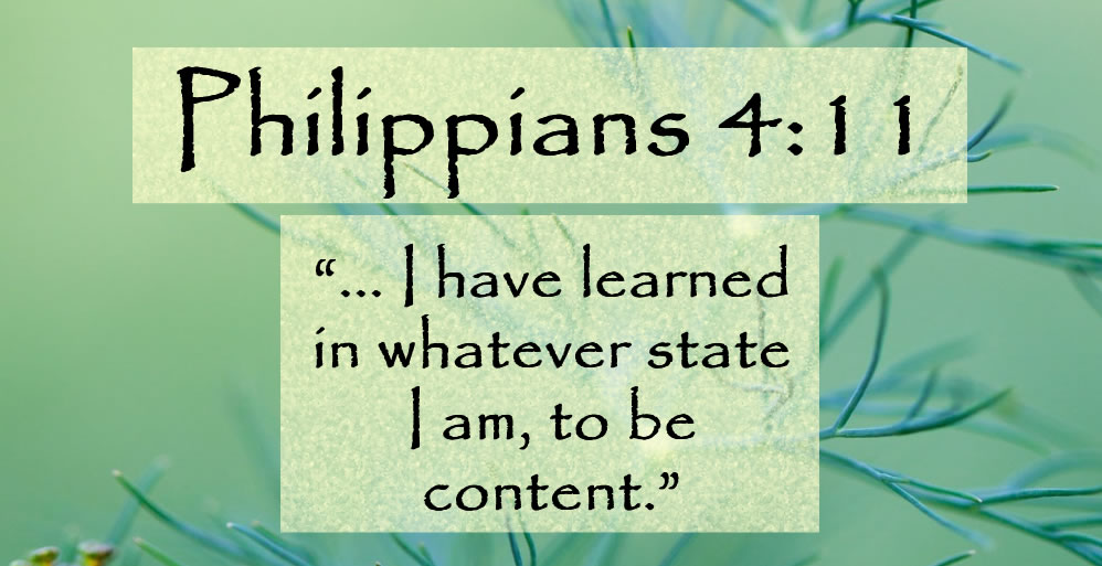 Every Reason to be Content
