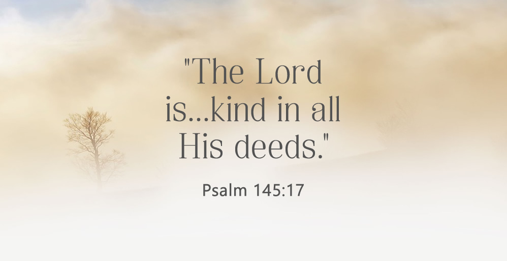 Fruit of Kindness