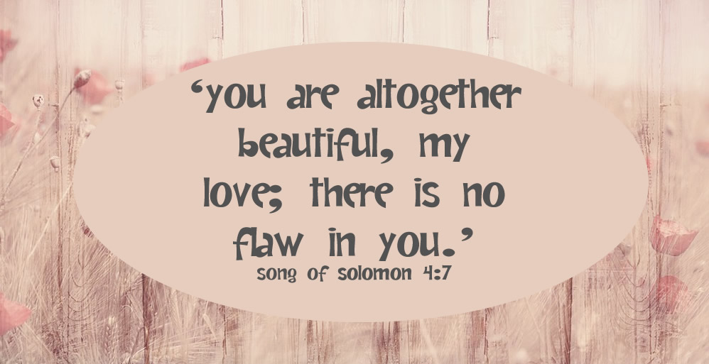 Solomon 4:7 on pink background