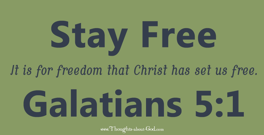 Stay Free