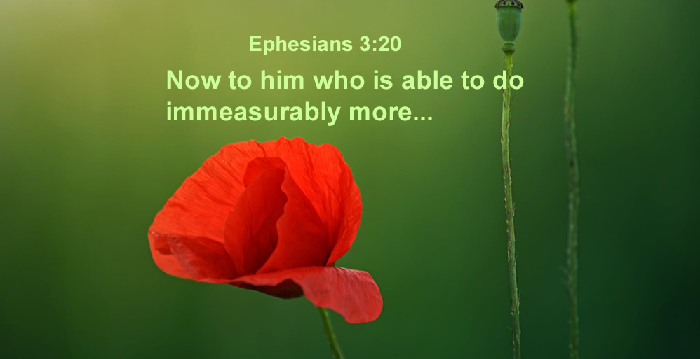 Immeasurably More