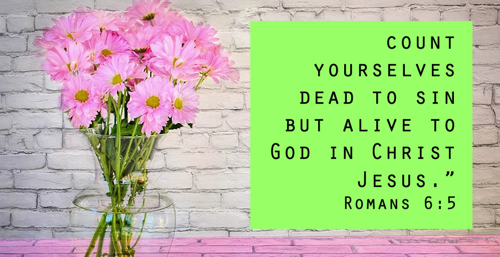 In Christ I Have a New Life
