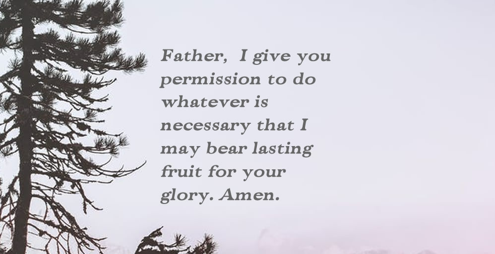 Pruned for Purpose