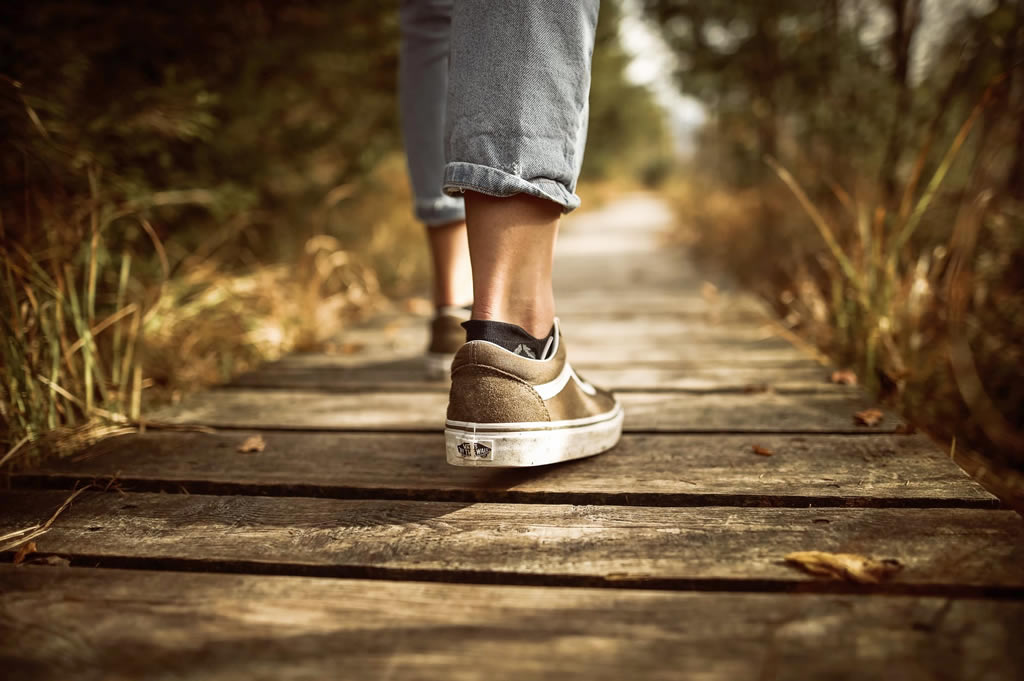 We Plan – God Directs