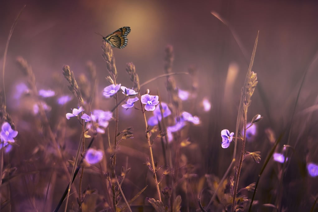 How You Can Pray With Confidence – Part 1