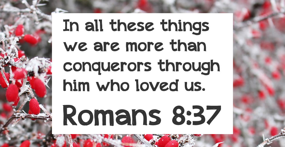 Romans 8:37 on top of frosted plants.