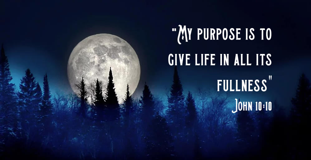 Abundant Life for the Asking