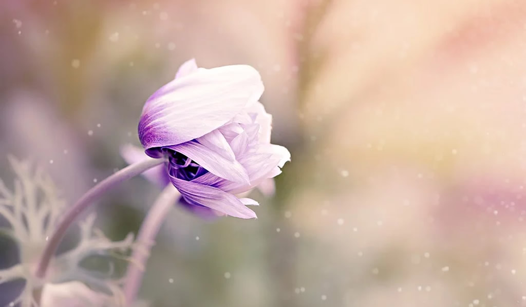 Harsh Judgments Can Kill One’s Spirit