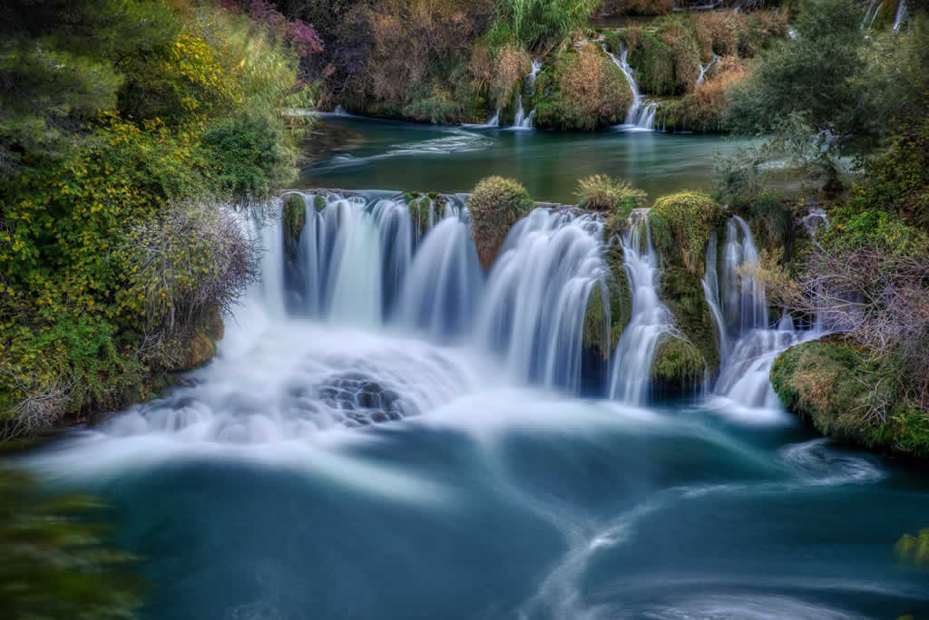 Overflowing With Life!