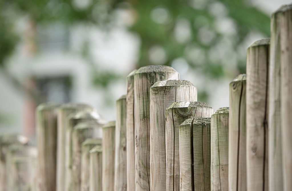 Sitting on the Fence