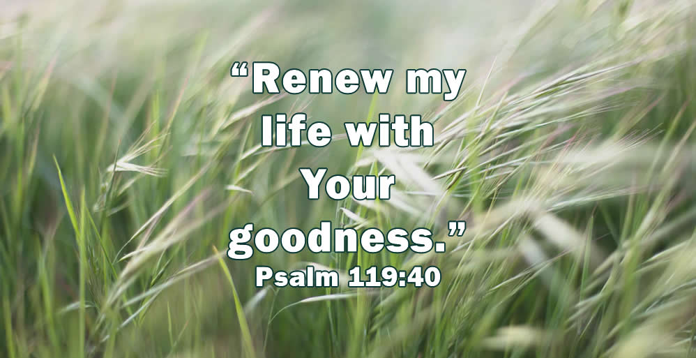 Renewed