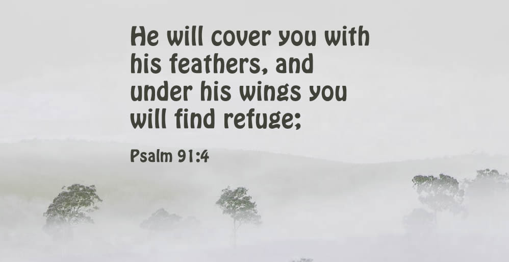 His Wings Shelter You