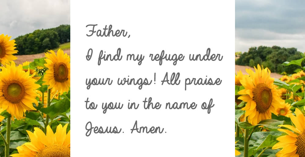 He Will Cover You