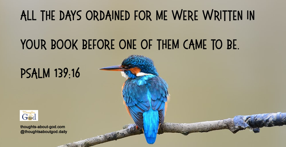 You Are God’s Great Idea