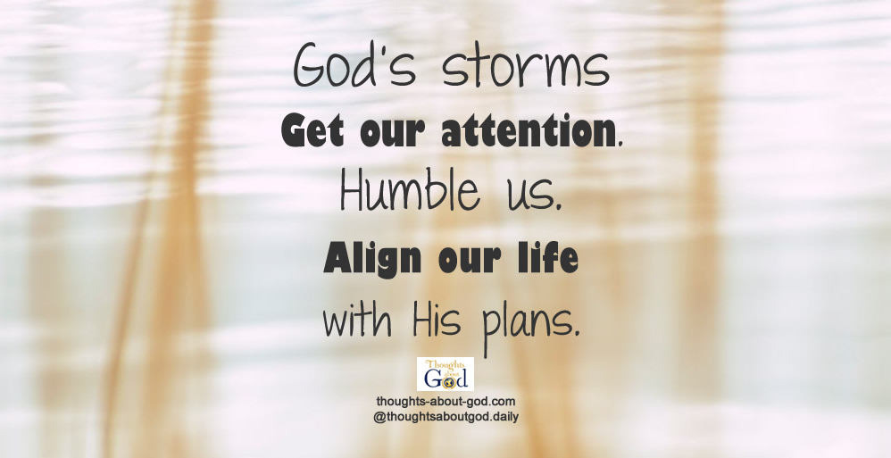 Storms of Our Own Making