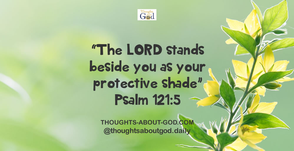 God Will Take Care of You!