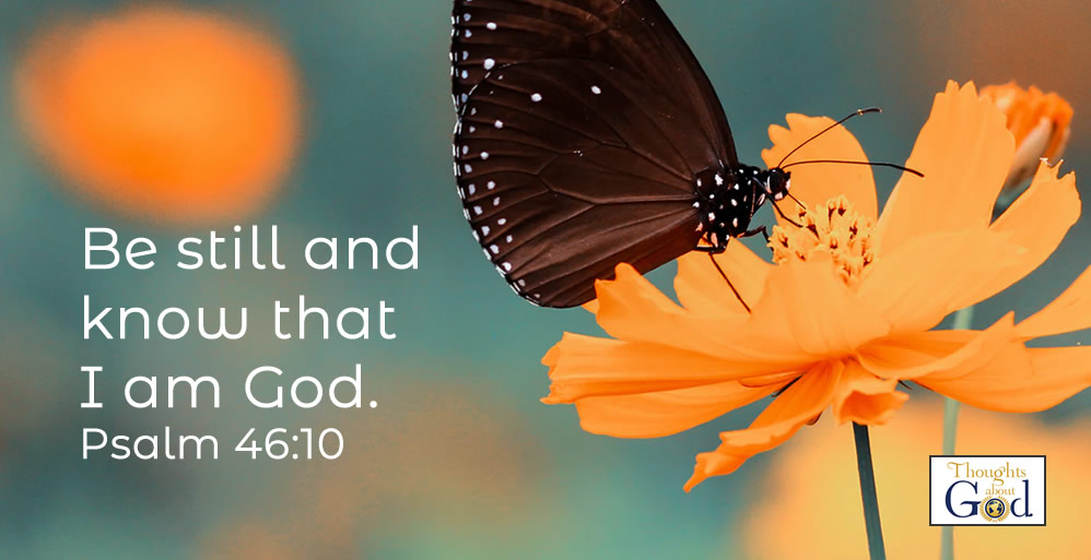 Cease Striving and Know