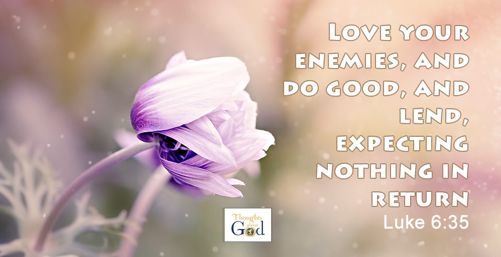 A Loving Habit