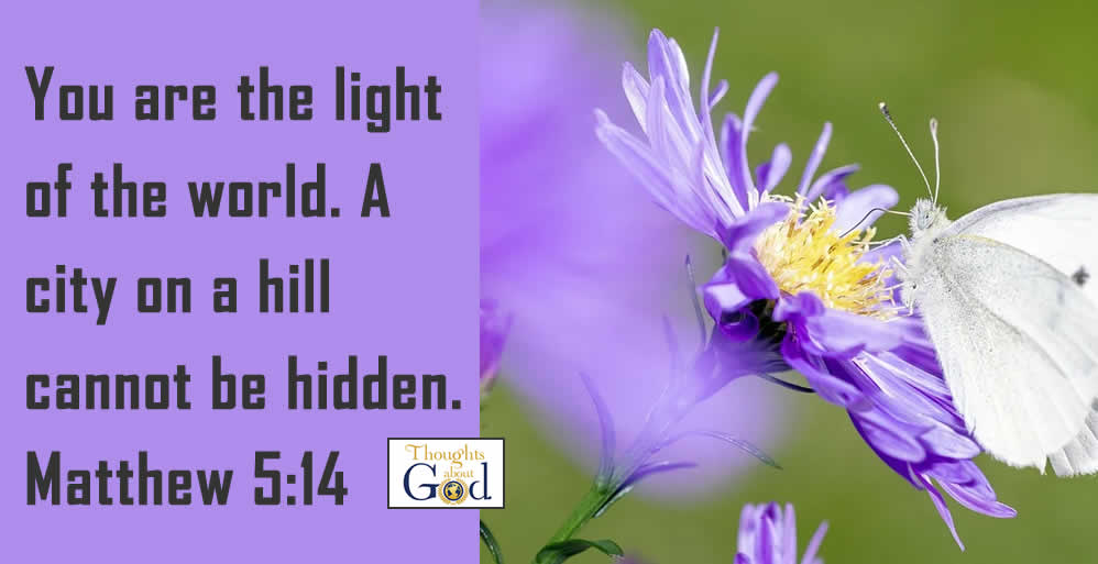 Light of the World