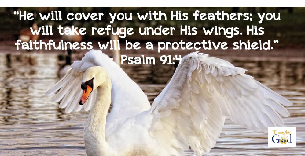 Psalm 91 Blessing