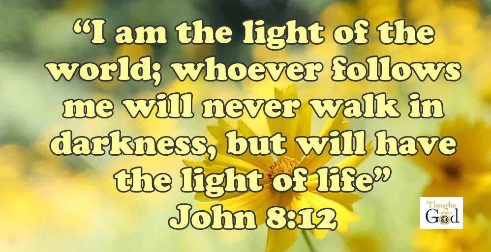 A Light in the Dark