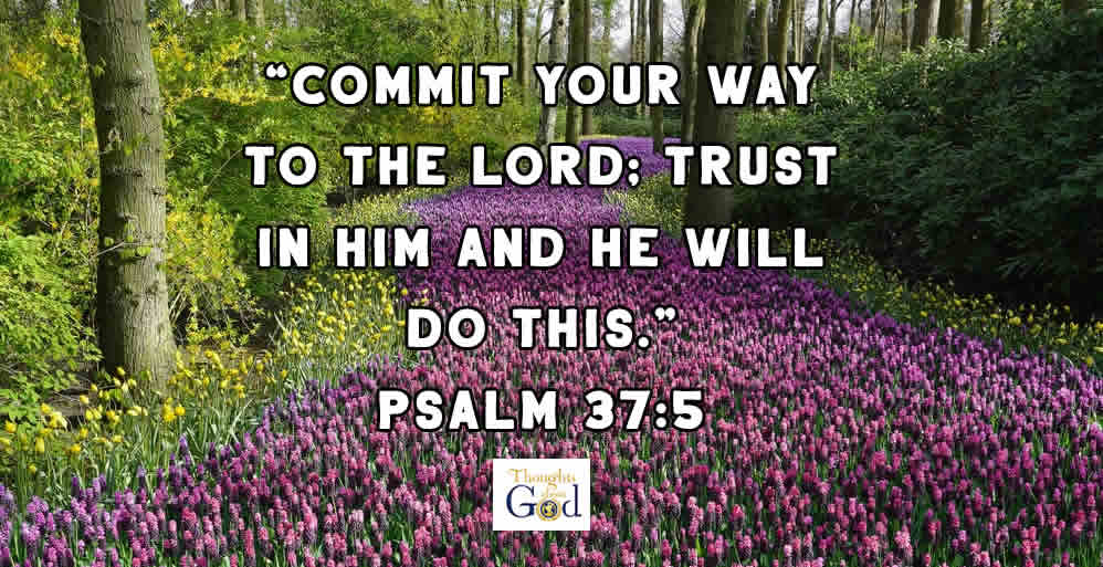 TRUST and DOUBT