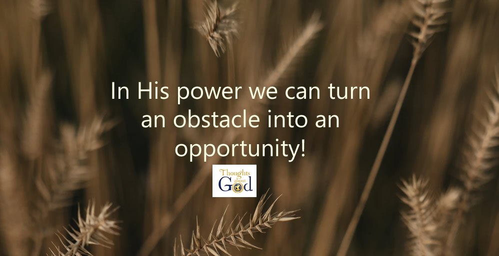 Obstacle or Opportunity