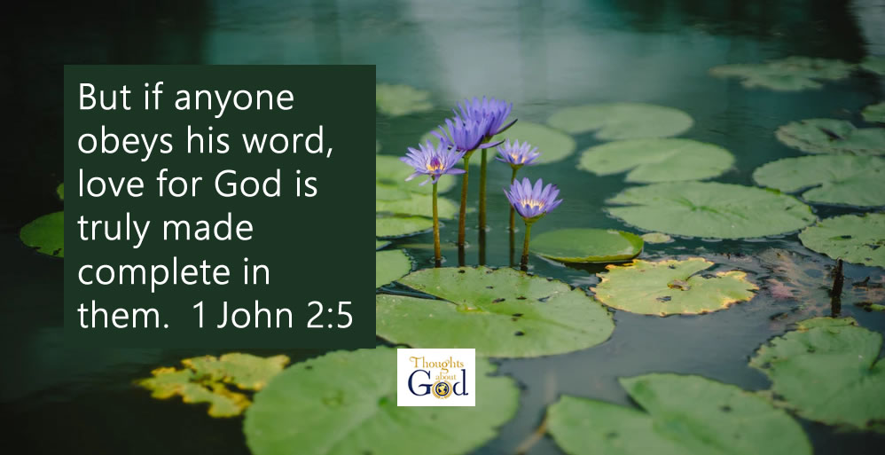 Live Like Jesus