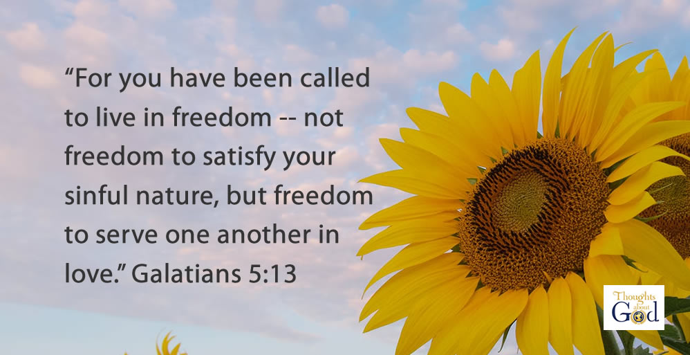 Free to Serve