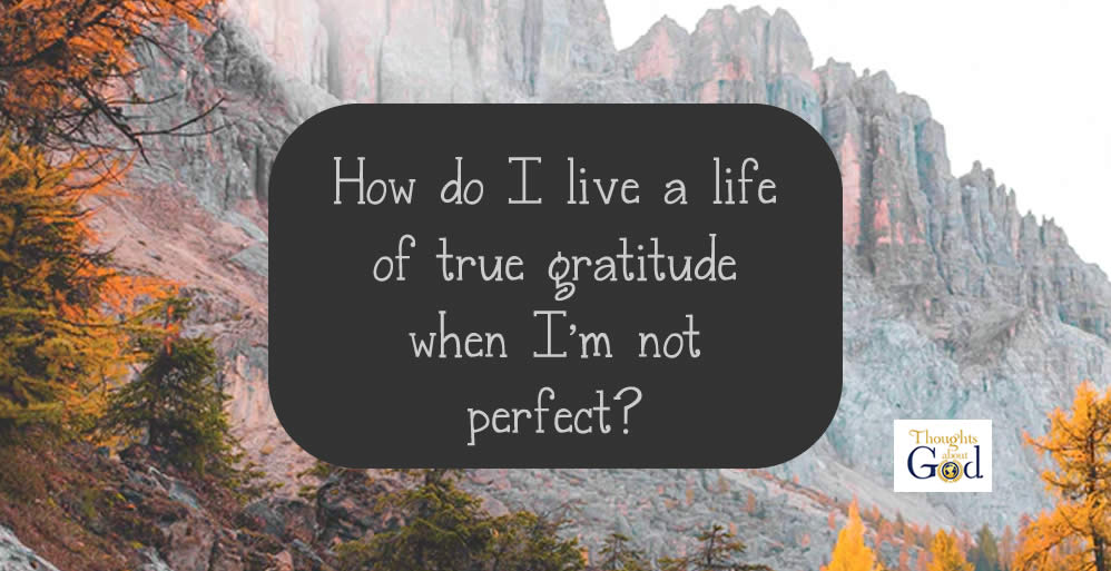 Living a Life of Gratitude
