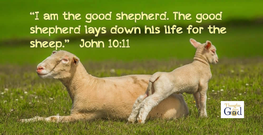 The Good Shepherd