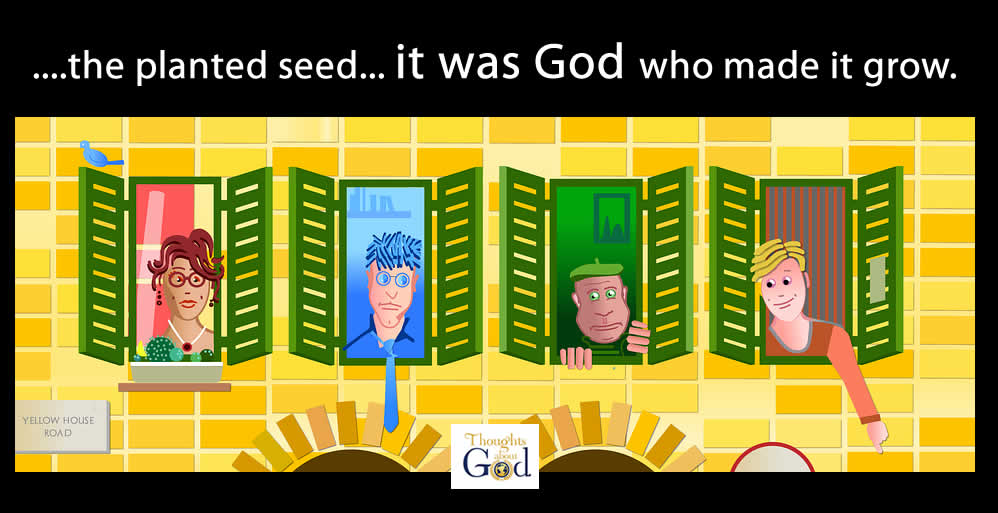 Seed Planter