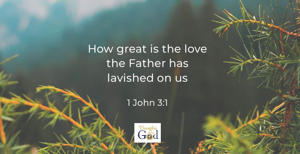 Lavish Love