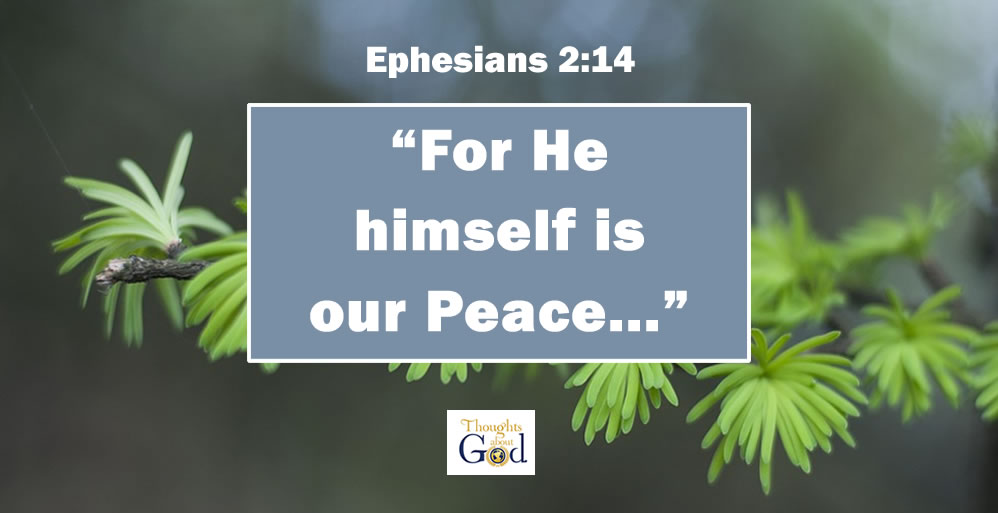 Fruit of Peace