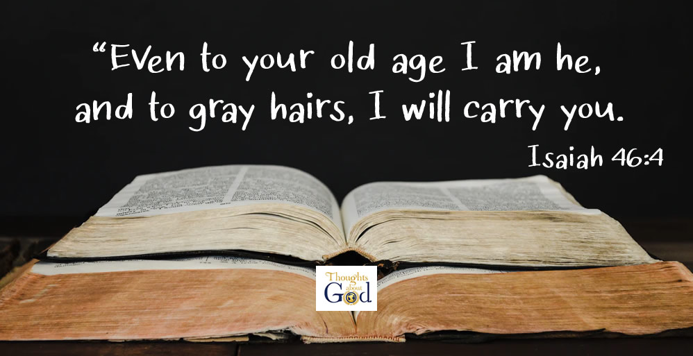 I Will Not Forsake You