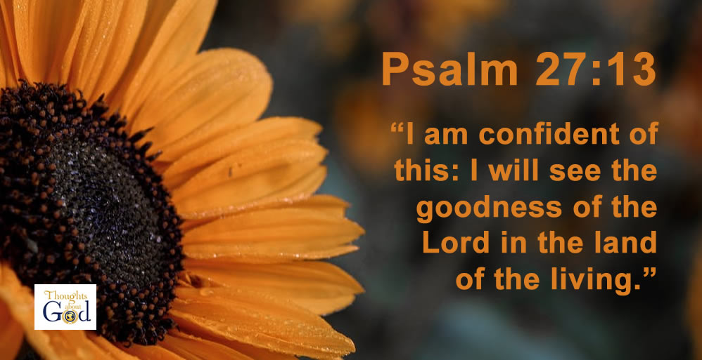 Anticipate God’s Goodness