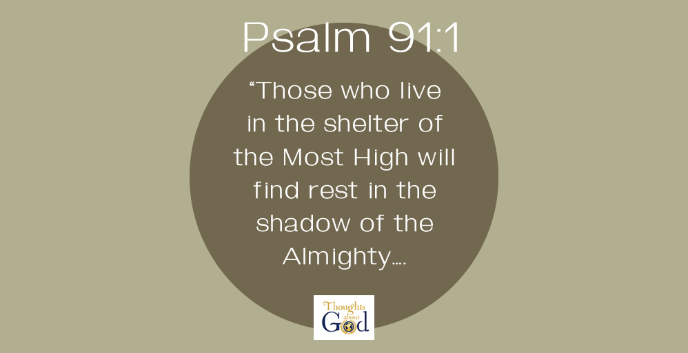 Shelter Living