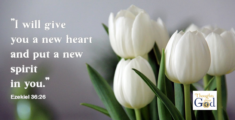 A Healthy Heart