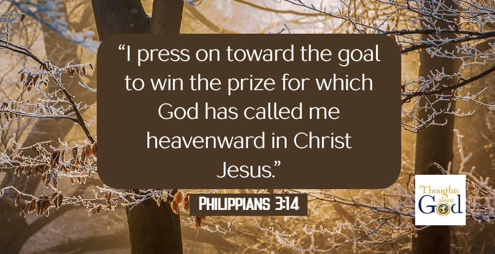 The Goal