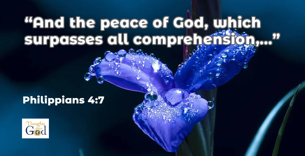 Is Peace Possible in Hard Times?