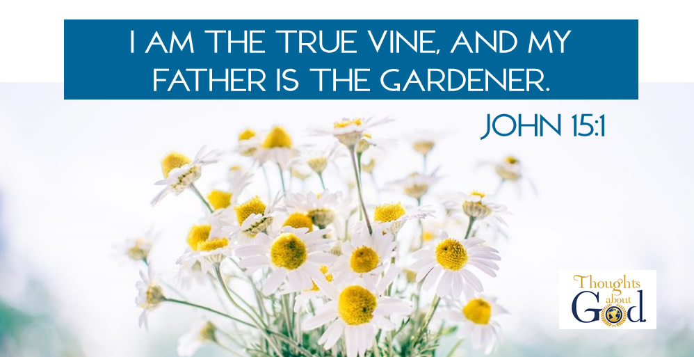Fruitful Gardening