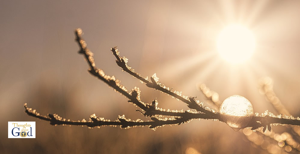 Faithfulness and Fruitfulness