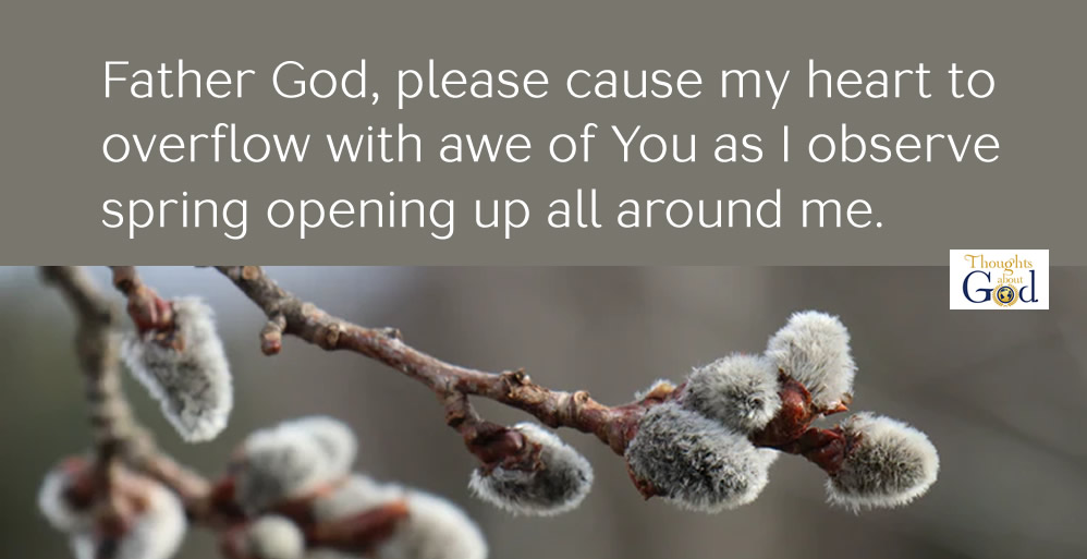 Stand in Awe