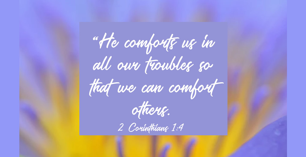 Comfort in the Storm