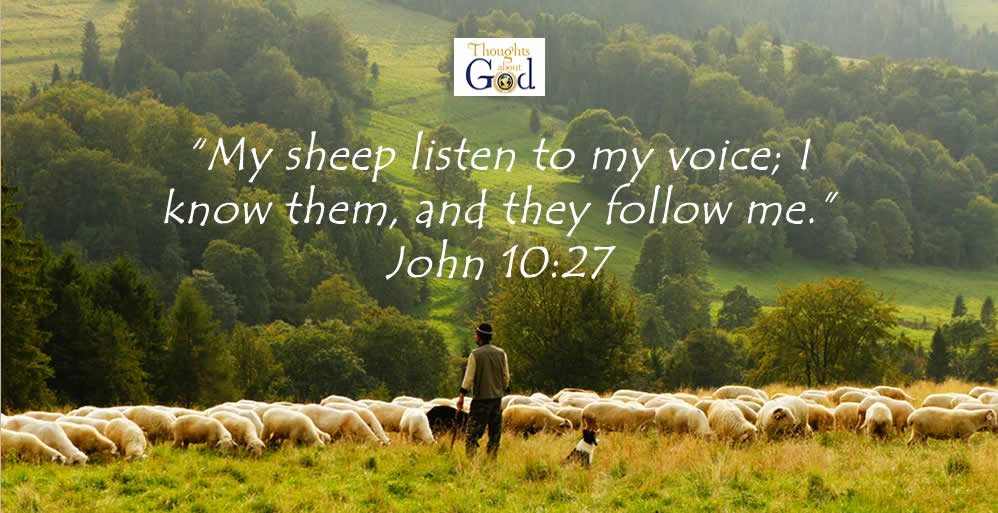 The Shepherd’s Voice