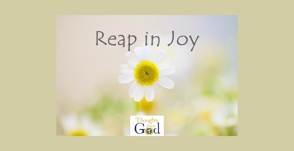 Reap in Joy