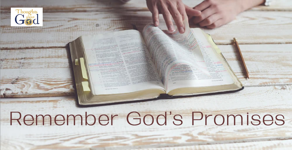 Remember the Promises in His Word