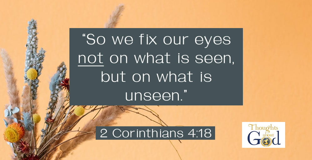 Seeing Clearly